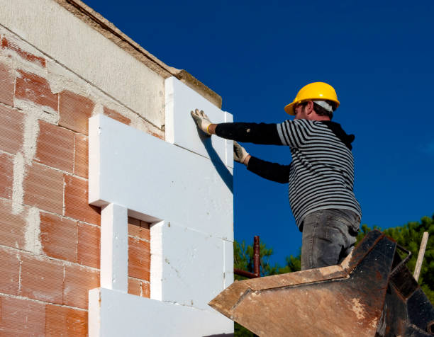 Best Wall Insulation Contractor  in Plymouth, WI