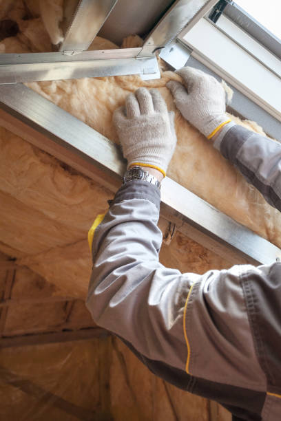 Best Attic Insulation Installation  in Plymouth, WI