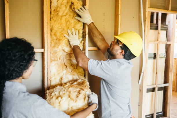 Best Garage Insulation Installation  in Plymouth, WI
