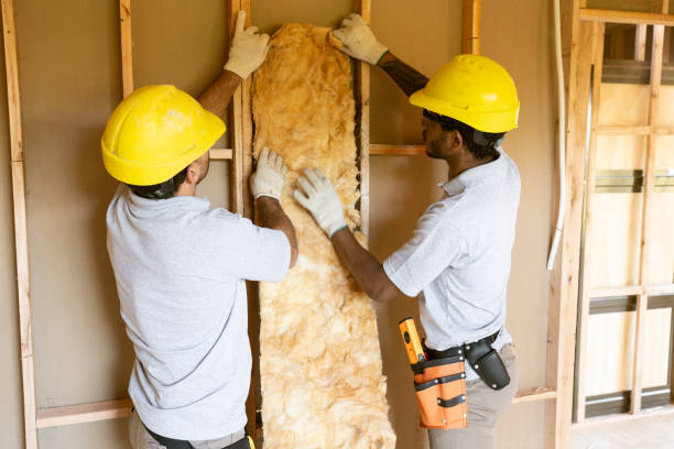 Best Insulation Removal  in Plymouth, WI