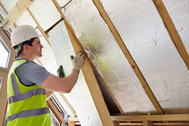 Best Wall Insulation Contractor  in Plymouth, WI